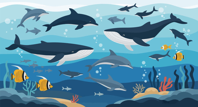 Diverse marine life including whales, dolphins, and fish swimming in the ocean.