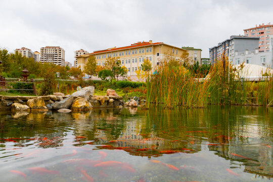 Belgrade Forests and scenery of Istanbul