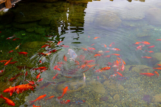 Belgrade Forests and scenery of Istanbul