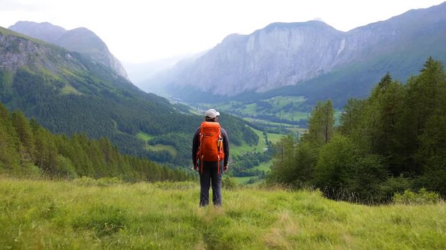 Hiker standing in a lush green valley, gazing at majestic mountains. Represents adventure, exploration, and the beauty of nature