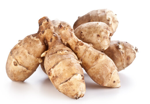 Freshly harvested Jerusalem artichoke (sunchoke) tubers  isolated on a white background.