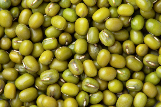 Green mung beans texture background