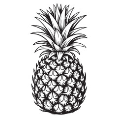 Obraz premium Detailed engraving of a pineapple with intricate textures and shading a striking silhouette
