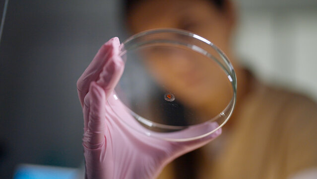 Female scientist in protective gear working in a modern laboratory to test DNA samples. Holding a small glass petri dish with a blood sample up to the camera. Selective focus