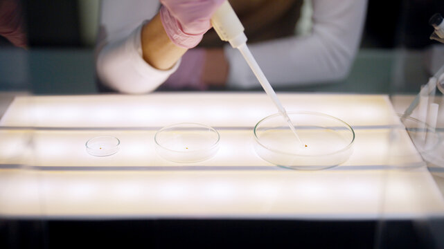 Female scientist in protective gear working in a modern laboratory to test human DNA samples. Preparing test samples in glass container with a pipette. Selective focus