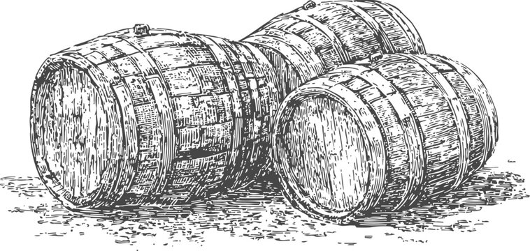 vintage wooden barrels set hand drawn aged casks for storage and aging of wine and spirits rustic old barrels illustration
