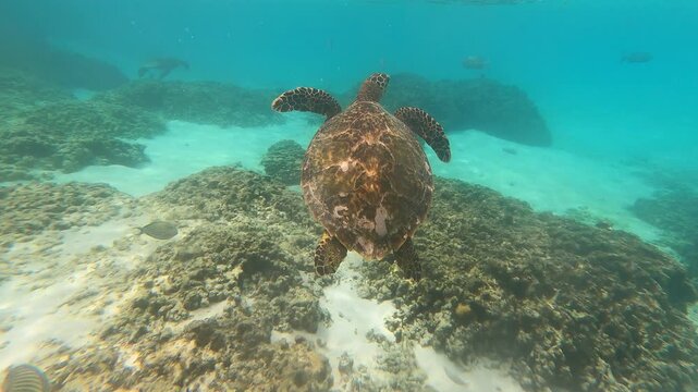 Dhigurah, Maldivas