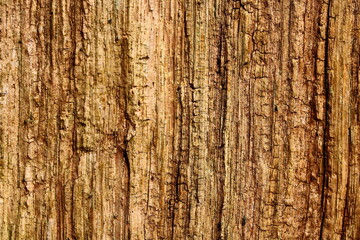 Obraz premium verwittertes Holz als Struktur und Hintergrund