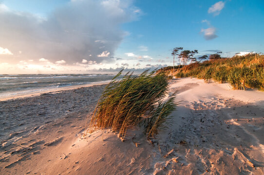 Dar&szlig;er Weststrand an der Ostsee 