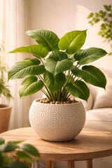 Obraz premium A potted plant sits on a wooden table in a bright room