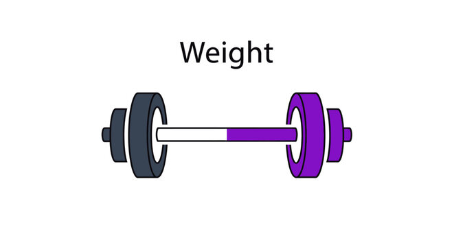 Weightlifting Barbell with Purple and Gray Plates for Strength Training and Fitness Progress