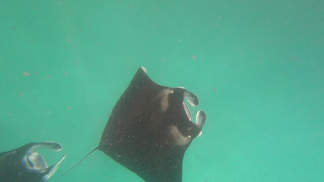 Dhigurah, Maldivas