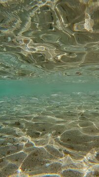 Shoal of Flagtail fish swims in surf zone above sandy-stoned seafloor on sunny day. Striped Flagfish or Five-stripped Flagfish (Kuhlia mugil) swimming in shallow water