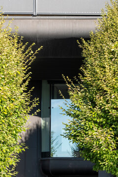 Symmetrical modern architecture entrance to a building with trees framing a courtyard showing minimalism shadow contrast and clean lines in daylight