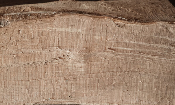Wood texture background. Raw longitudinal beech wood, shallow depth of field. Copy space.