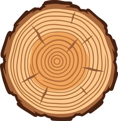 Vector illustration of tree trunk cross section with annual rings and wood texture for natural design © Vector World