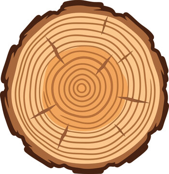 Vector illustration of tree trunk cross section with annual rings and wood texture for natural design