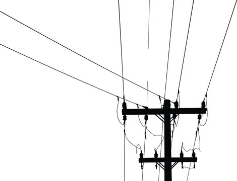 utility pole, power lines, electricity, electrical grid, energy distribution, transmission, infrastructure, silhouette, industrial, urban, technology, electric wires, insulators