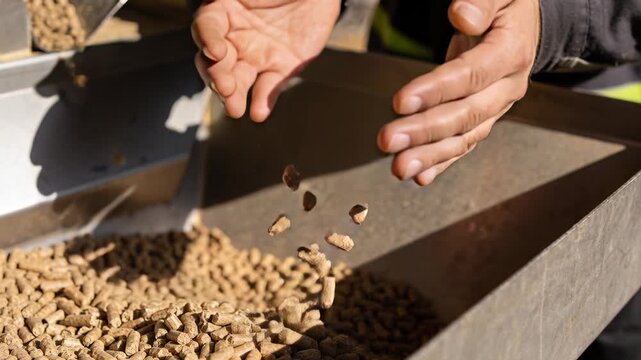 Lifting worker's bare hands cupping wood pellets over hopper, checking pellet size, reflective cuff