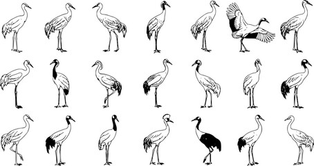 Naklejka premium Elegant Crane Sketches: Assorted Poses, Traditional Japanese Art Style
