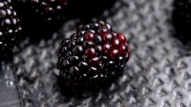 A single ripe blueberry on the textured surface of black plastic retail packaging. Rotation