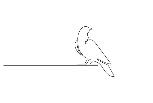 Animation Minimalist line drawing of a bird perched on a line