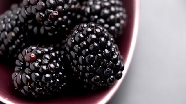 Arranging ripe organic blueberry in a red mini bowl. Macro