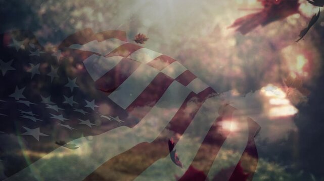 Animation of sky and leaves over flag of usa