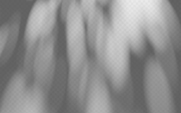Abstract foliage shadow overlay isolated on transparent background. Tree branch gobo effect with soft diffused silhouette.