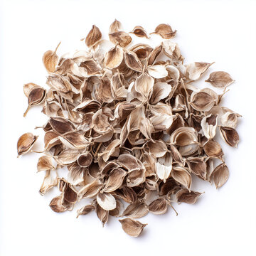 dried moringa seeds on white background