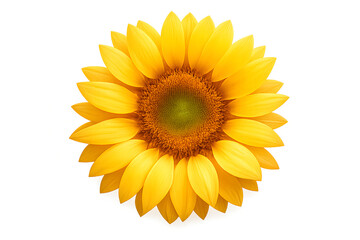 Fototapeta premium yellow sunflower on transparent background, single fully bloomed flower, tup view,no stem, no leaves, isolated blossom.Hihghly detalied petals,natural soft gradients, realistic texture.