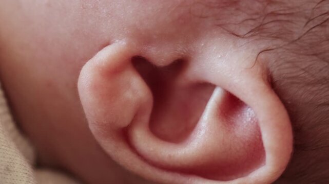 La drum lung sau o escapadă spontană, ai nevoie doar de ceva gustos, sănătos și simplu🌿

Produsele de la Green&rsquo;s sunt făcute să te &icirc;nsoțească oriunde mergi!