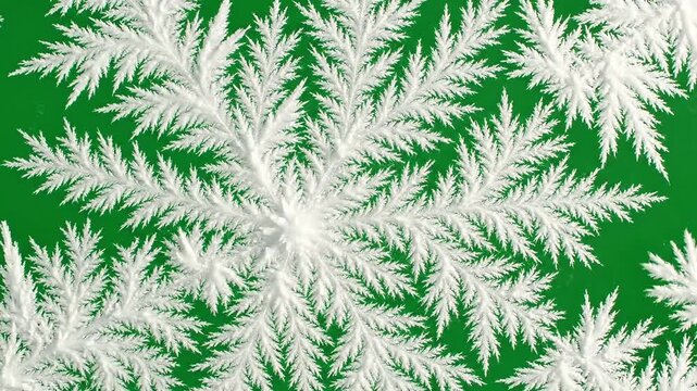 Frosty fern-like patterns spread across a vibrant green surface abundantly.
