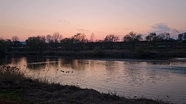 Sunset River Ducks Traffic Seoul 노을 강 오리 차량 영상