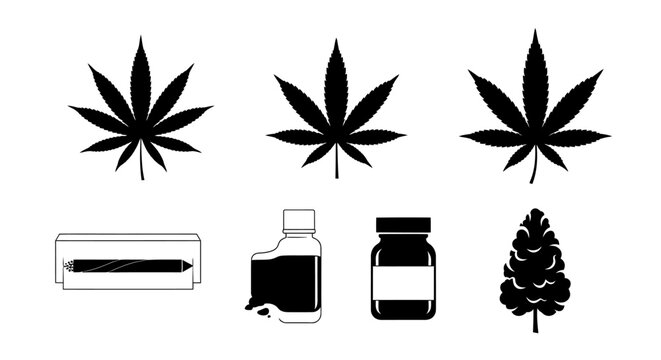 Cannabis leaves smoking paraphernalia and a pine cone illustration