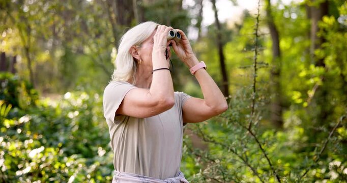 Travel, explore and senior woman with binoculars in nature for bird watching, activity and outdoor adventure. Summer, journey and person trekking in forest for sightseeing, vacation and observation