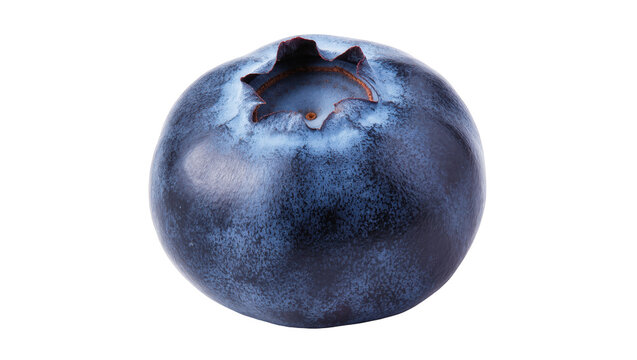 Fresh ripe blueberry with natural bloom, a single dark blue berry, healthy fruit close-up
