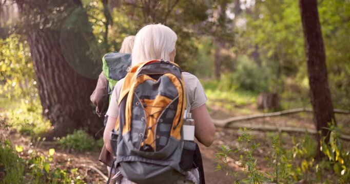 Nature, hiking and mature mom with woman in forest to explore on adventure, journey and trekking. Family, pointing and senior mother with daughter in woods for wellness, backpacking and walking
