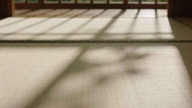 Drifting plant shadow crossing tatami in washitsu near lattice, breeze moving branch in sunlight