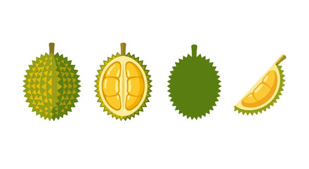 Four durian illustrations showing whole fruit and cut sections © Sumon