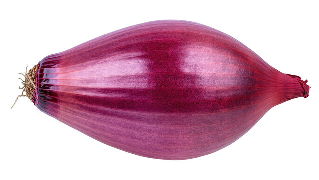 Vibrant, fresh, elongated red onion vegetable with skin, ideal for various culinary preparations