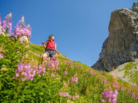 Travel, tourism: Woman hiking with poles on a flowery mountain meadow against blue sky, outdoor adventure, Volaia lake, Italian-Austrian border, Friuli Venezia Giulia.