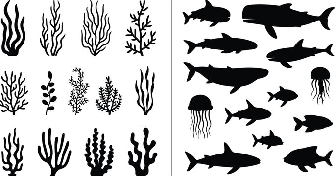 PrintBlack silhouette vector illustration of underwater plants, corals, sharks, whale, jellyfish, marine animals, ocean wildlife educational artwork composition