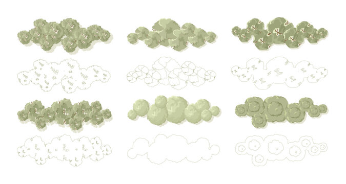 Top view trees for architectural plans and landscape design. Minimal vector illustration for urban planning, site plans, and architectural entourage.