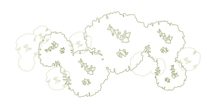 Trees for urban planning and architectural plans. Outline vector for landscape design and exterior entourage.