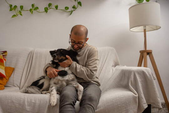 Man brushing dog fur on couch with calm pet at home
