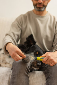 Close up of hands cleaning dog brush with fur while dog rests in background at home
