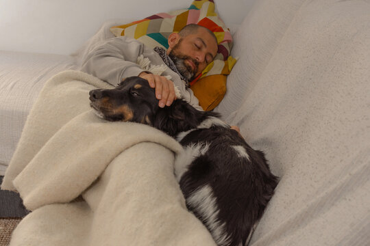 Adult man sleeping on couch with hand on dog resting on his legs at home