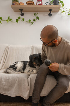 Dog on couch looking at brush full of fur while man looks back at him at home