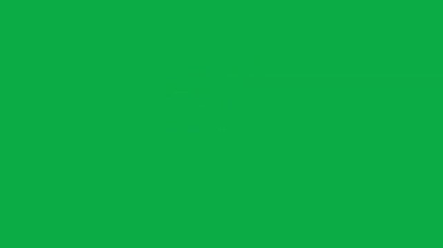Rotating indian rupee gold coin 3d animation on green screen background loop
